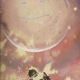 Illustration for article titled Nine Human-Alien Love Children